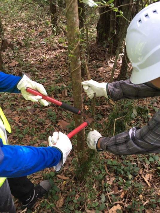Young people working on the project