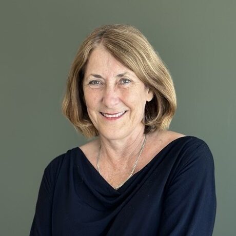 Leanne Wood - Mission, Research and Advocacy